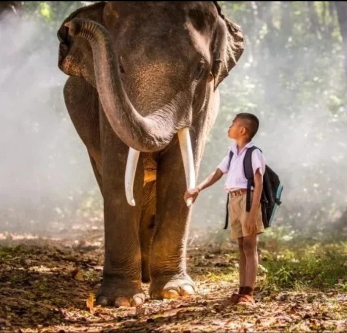   , ,  Preeda Prakotmak