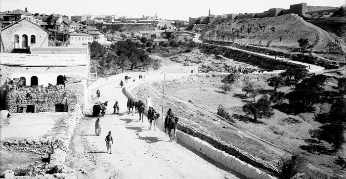  ..  99,5% - .   XIII .     .