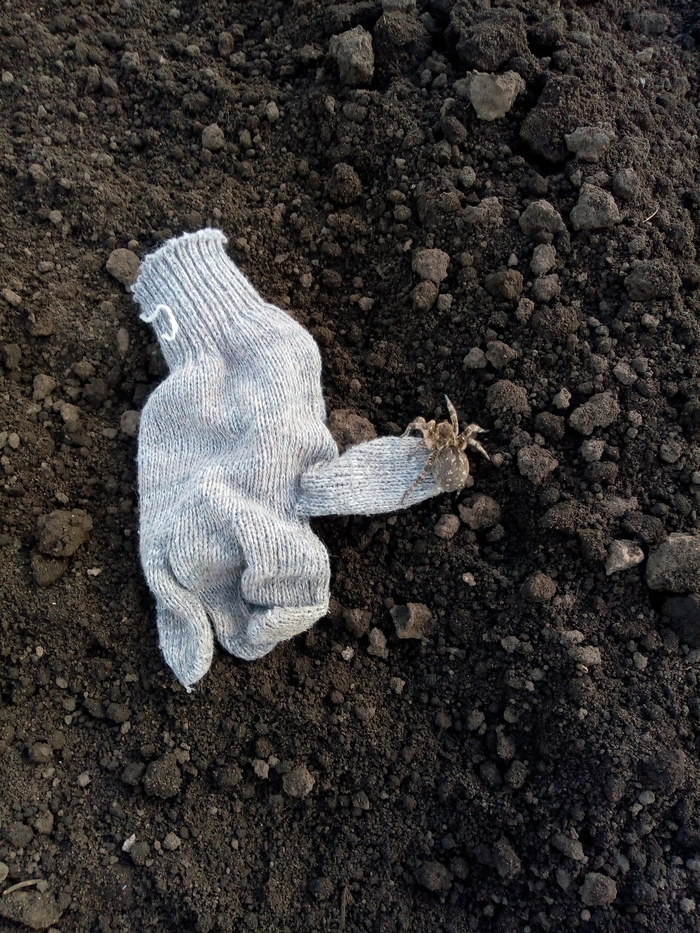 ��� ��� ����� � �� ����.