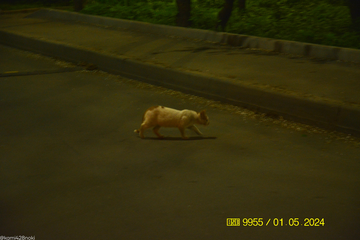 � �������, ������� ��� ��� ������, ��������� ���� ������������ �����