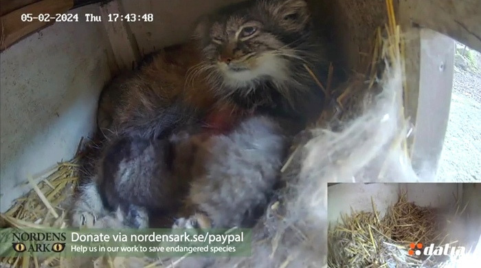 ������� 23 ���