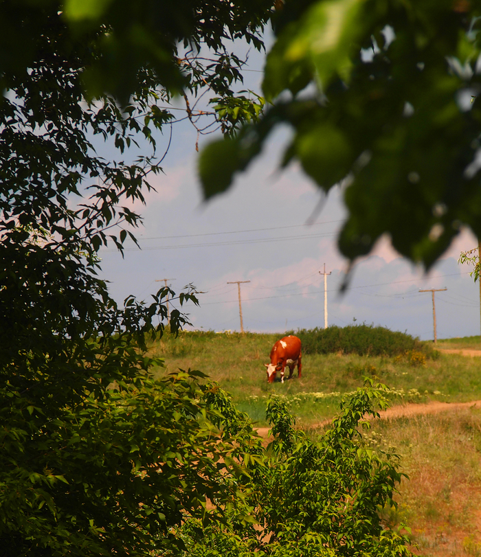 Фоторепортаж с прогулки