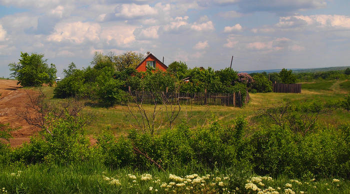 По этой фотографии сделаю картину в стиле пуантилизм!) Жалко не успела сфотографировать, когда дом украшала цветущая сирень.