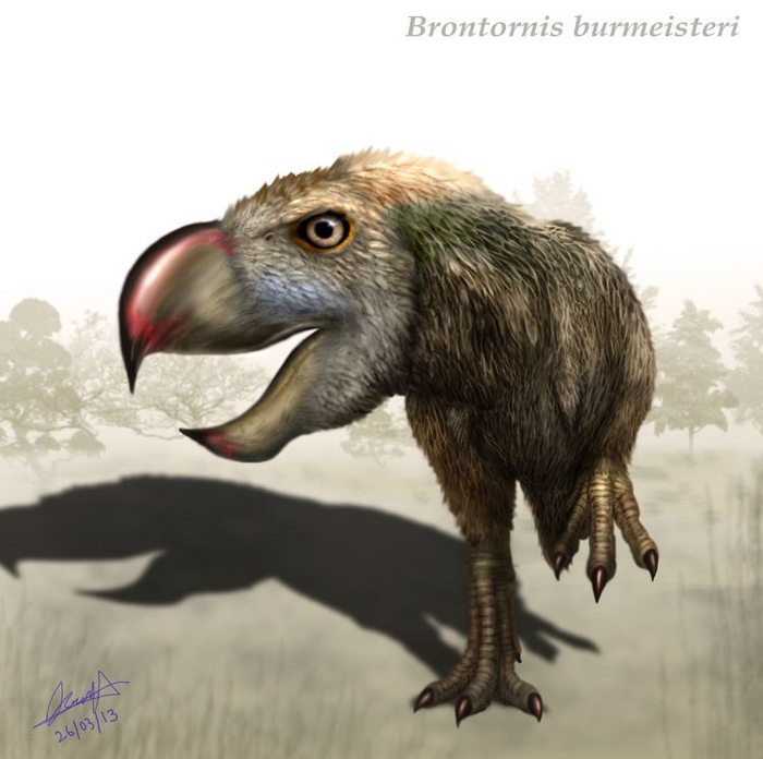 Ну и кто теперь пойдёт на крылышки и ножки?