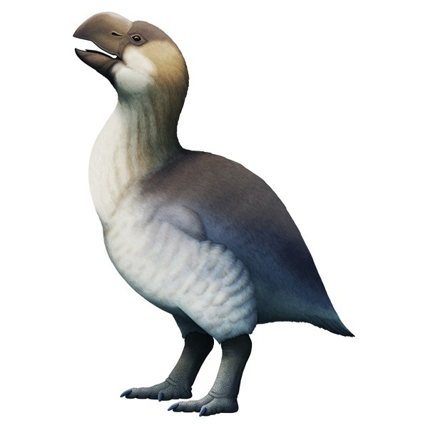 Если бронторнис был травоядным, посмотрите, какой прелестной булочкой он был бы!