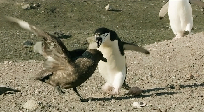 Да не жирный я! Просто утеплился как следует!