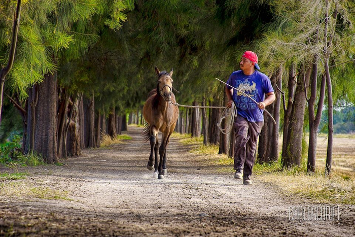 Когда договорился с другом пойти на утреннюю пробежку, но не учёл, что там действительно надо будет бегать.