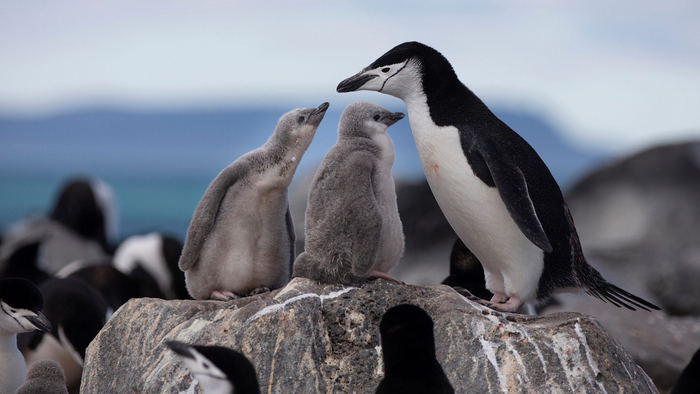 – Пап, а ты когда в последний раз высыпался? – Что делал? Слово незнакомое. Повтори, пожалуйста.