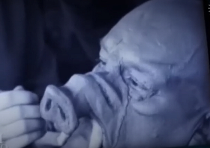 Какая отвратительная рожа!