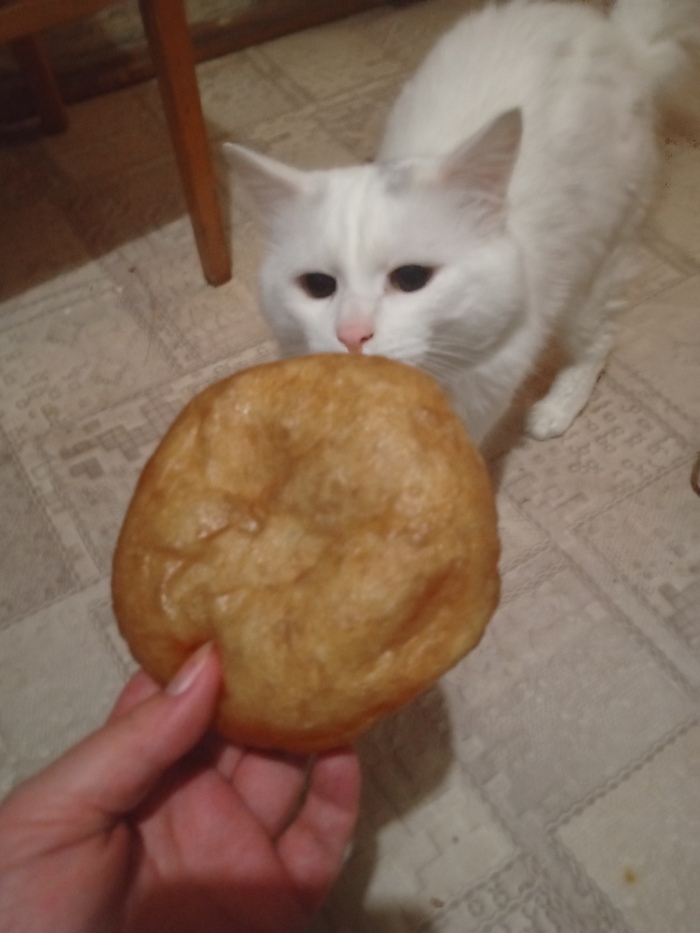 Беляш Беляшу