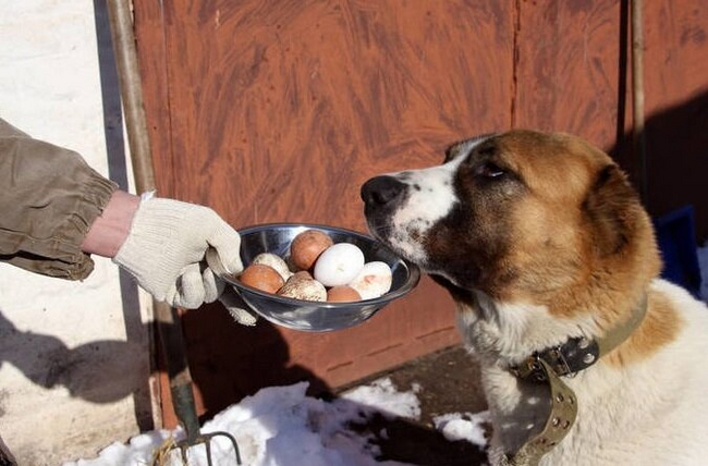  ,      ,    ,         .       ,    .