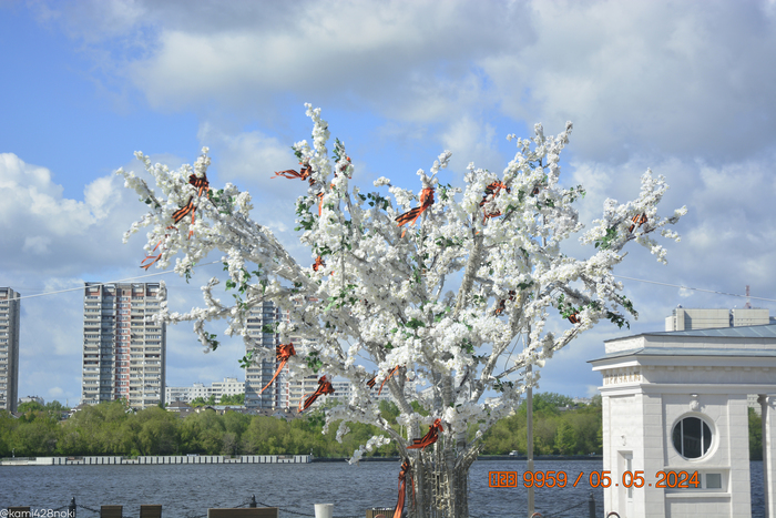 ������� ������ ��� ����������� ������� ��������� �����...