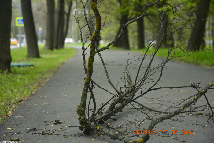 ...� ������ � ������ ���� ������, �������������� �����-�������, �� ���������