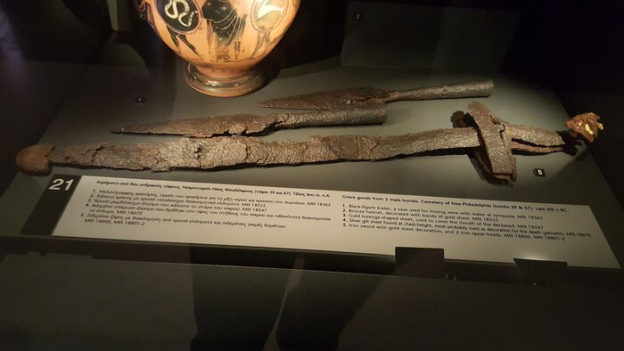 Экземпляр ксифоса.