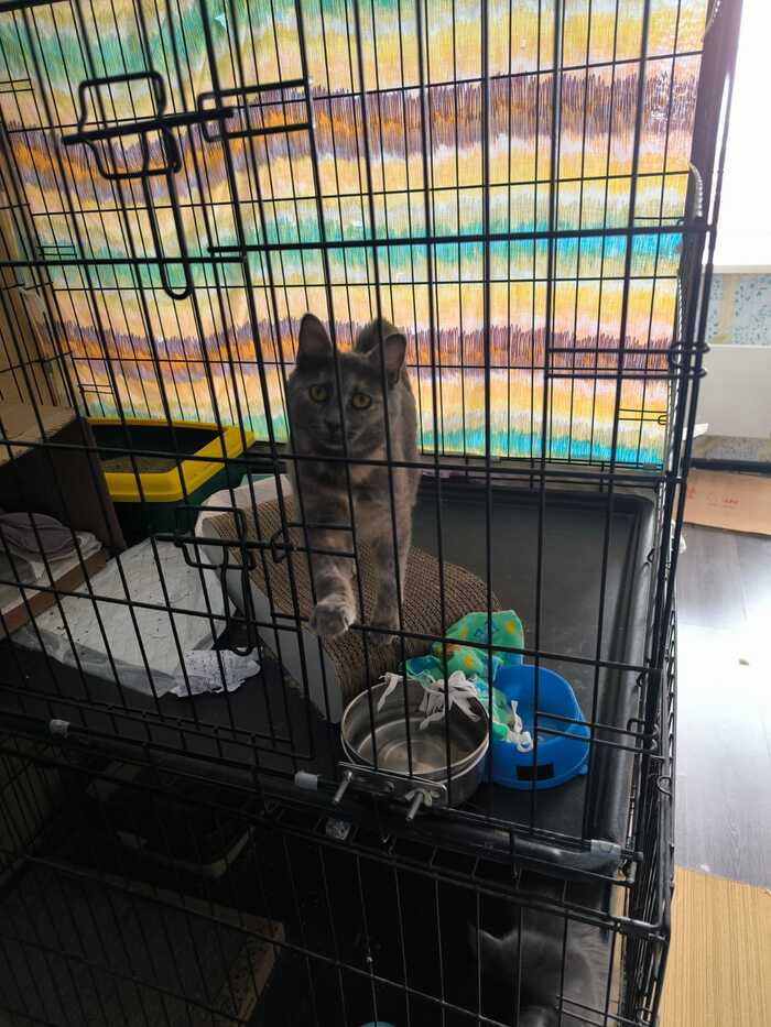 Сняла попону и замочила