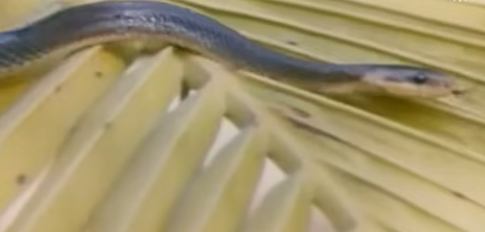 А мы то думали...