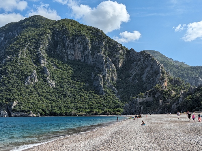    ,   .      . (  ,  -   )