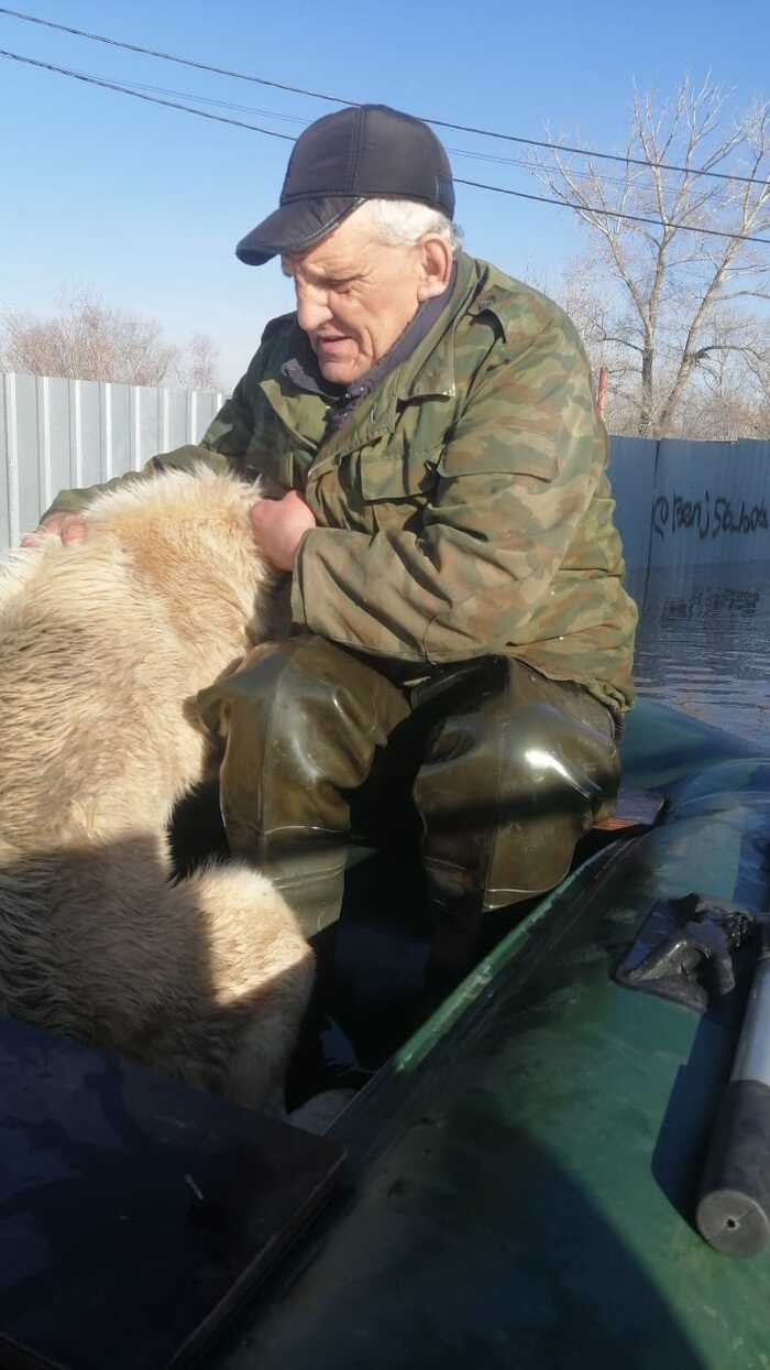 ��� ������ �������� ��