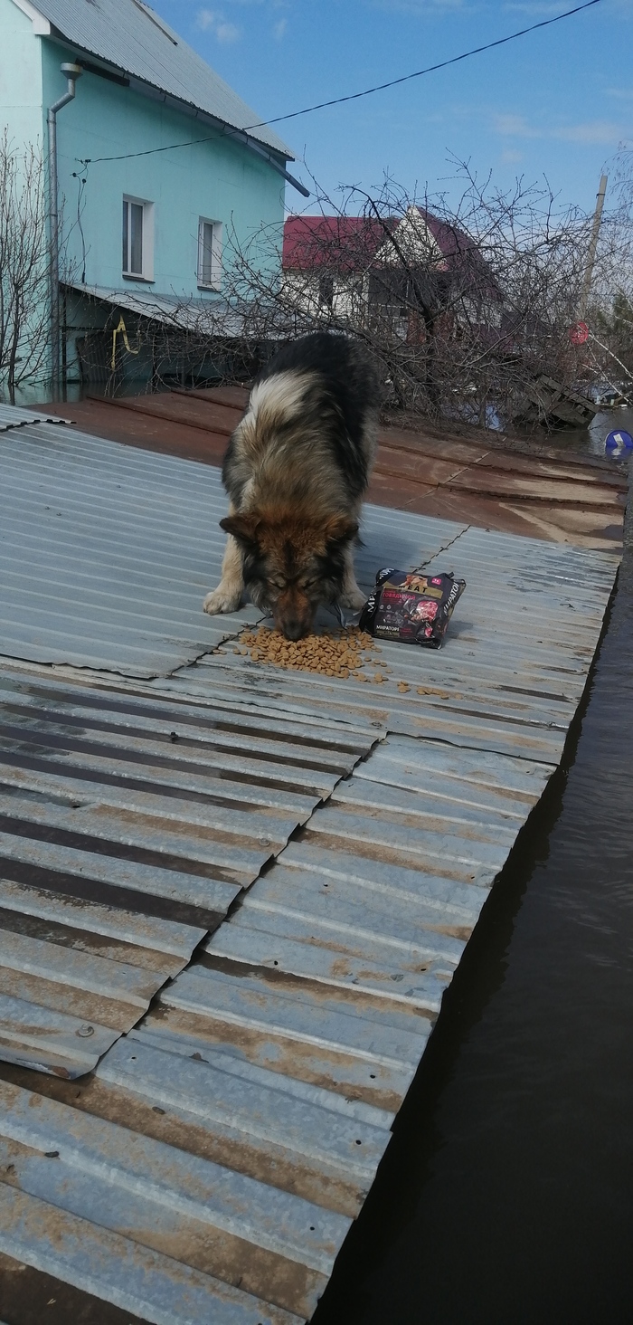 ������� ��������