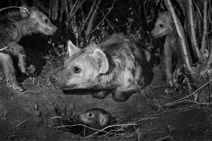      (  , )  ,          .          .