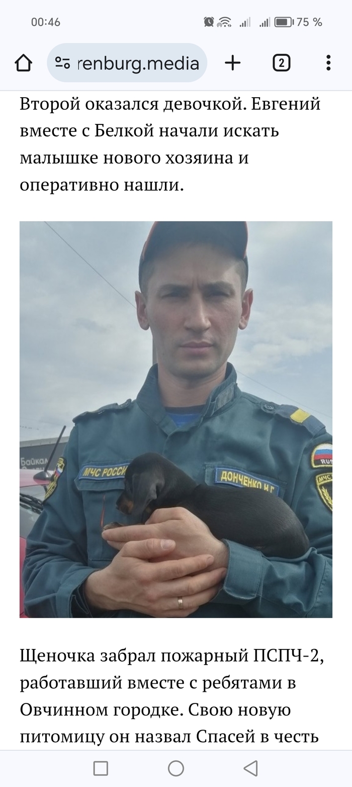 ���� �������)