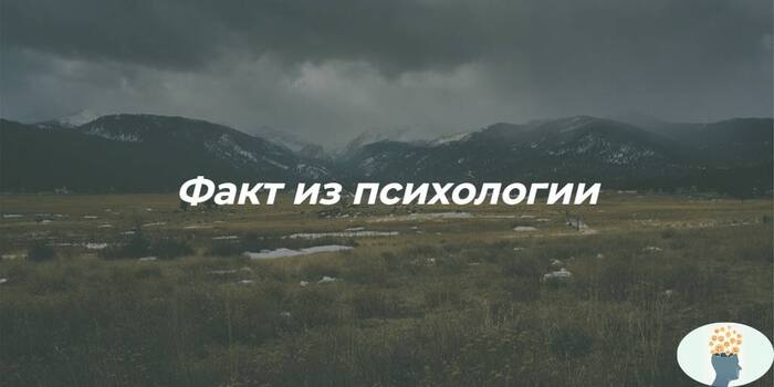 ���� �� ����������