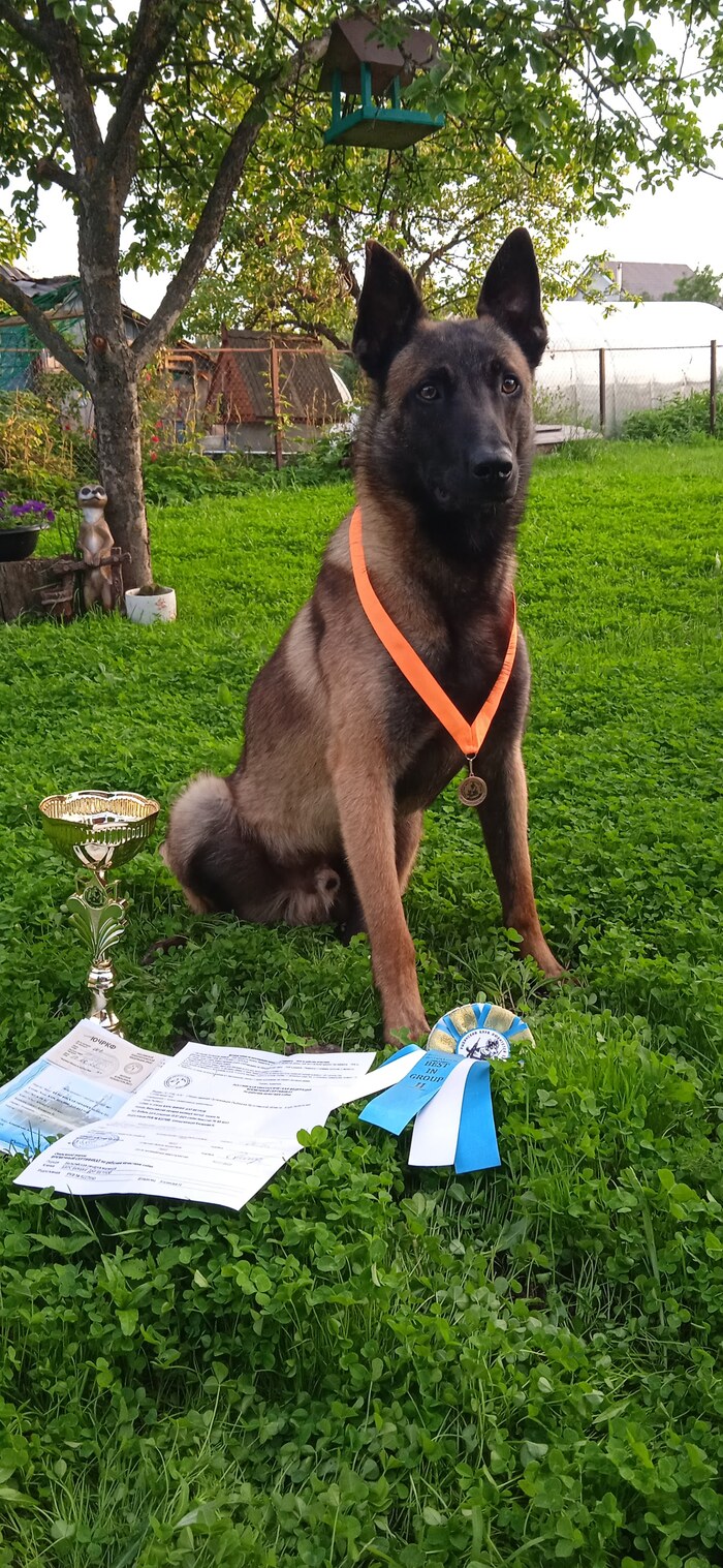 ���� ������ ������� ��� ��� ���� �����