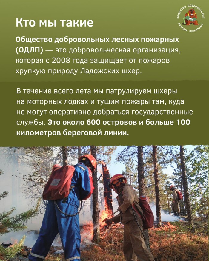    ,  , ,  ,  , , Telegram ()