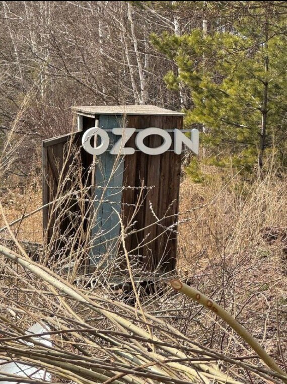      OZON.      ? , OZON, 