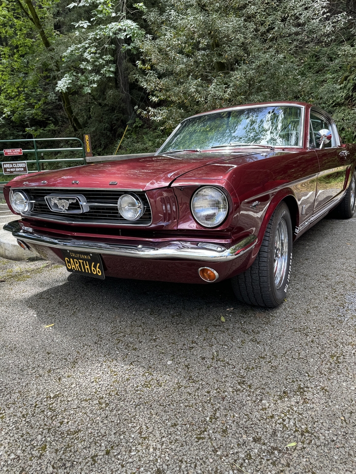  Ford Mustang, Ford
