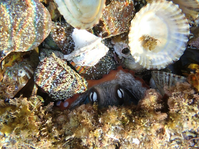 Ох, внучок, ты такой сладкий! Так бы тебя и съела!