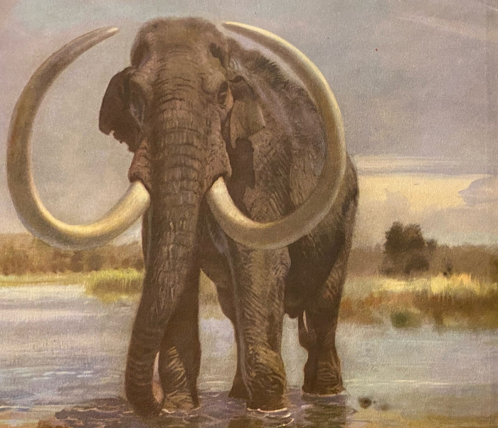 — Ух, ну и холодрыга! — Бабуль, но на улице +25! — Ничего не знаю, закрывай форточку, дует!