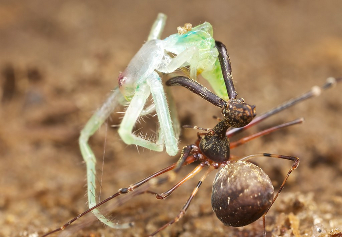 �� �� ������� ��! � ������ �������!