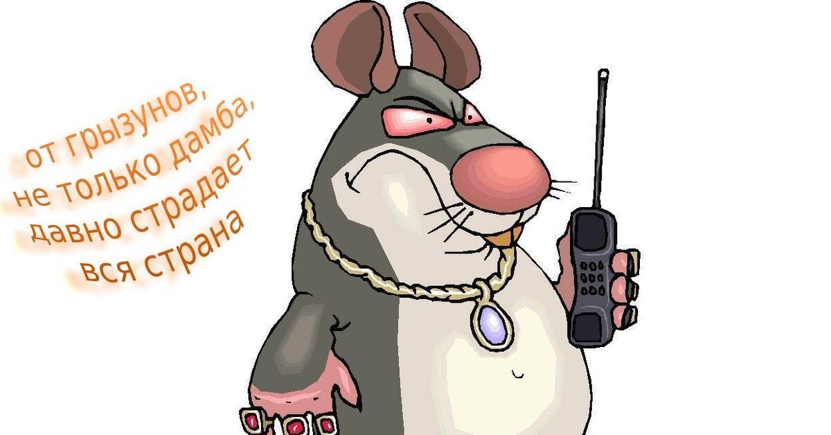 Картинки Крысы Смешные