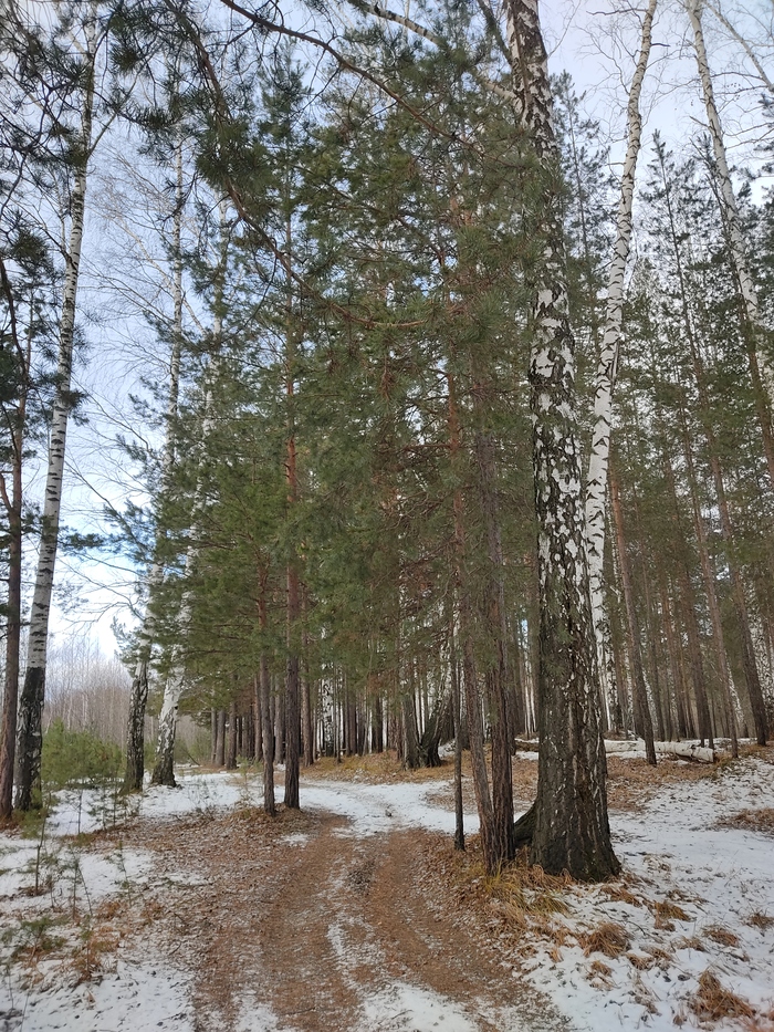 Фото для отвлечения внимания - не более.