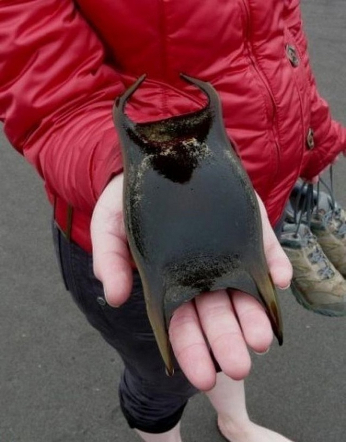 ����� ��������� �� �������� ������ � ����� ��������� ���.