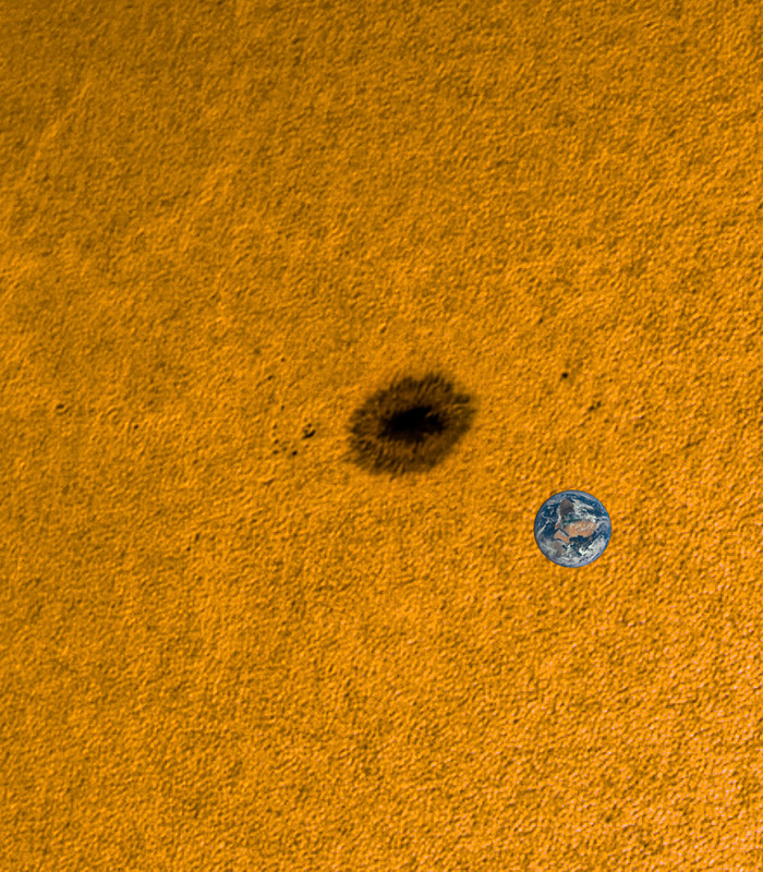   AR3394    .      2023 .  ,        -  .