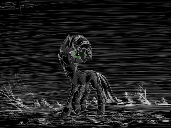  My Little Pony, Original Character, MLP Zebra, Fallout: Equestria