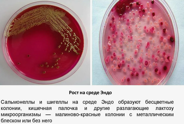 ������� �������� ������� ��������������� �� ����������� ����� ����.