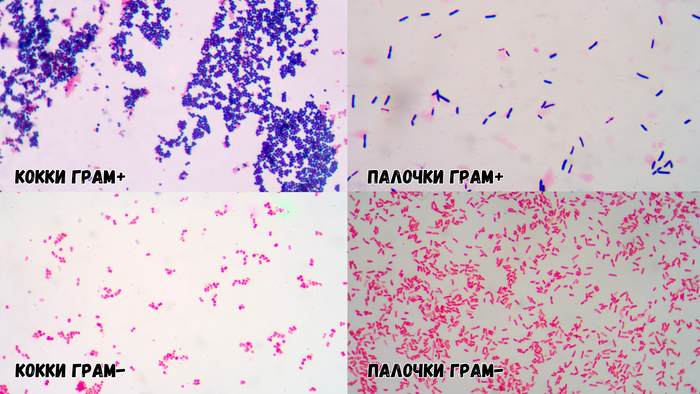 ������� �� �����.