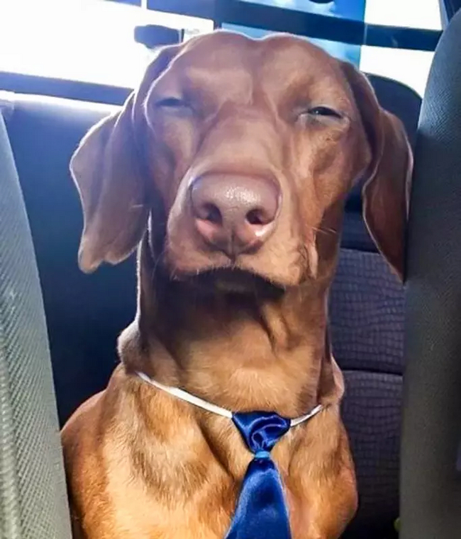 Подозревака jpg