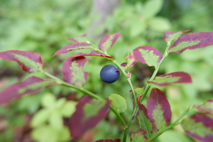 Красота Карелии