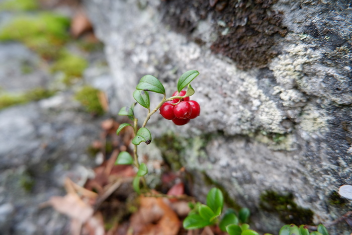 Красота Карелии