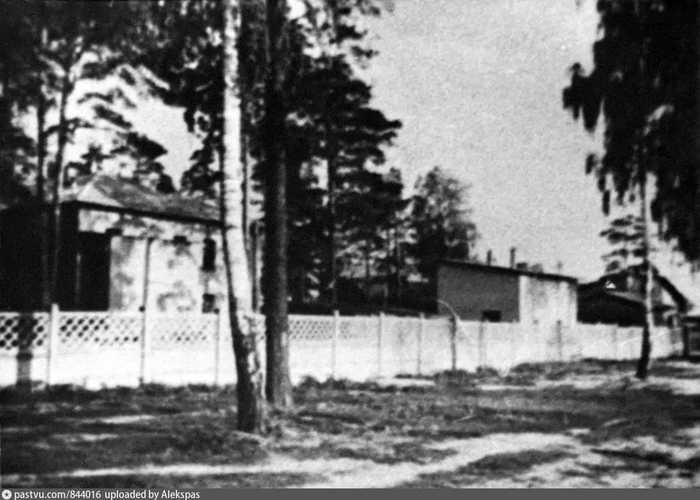   (  95) 1950-1961 (    ).