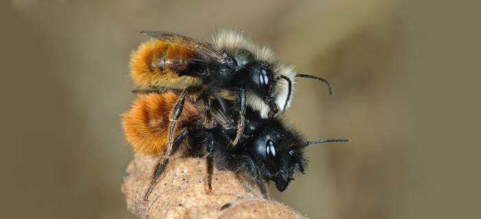 — Дорогая, тебе нравится? — Не мешай, я строительные и продовольственные планы обдумываю...