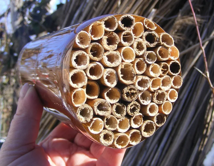 Сначала били по огородникам, потом по трипофобам!