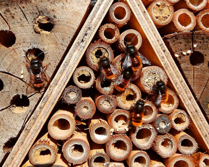 Типичная современная многоэтажка, звукоизоляция в которых чуть лучше, чем у тростника.