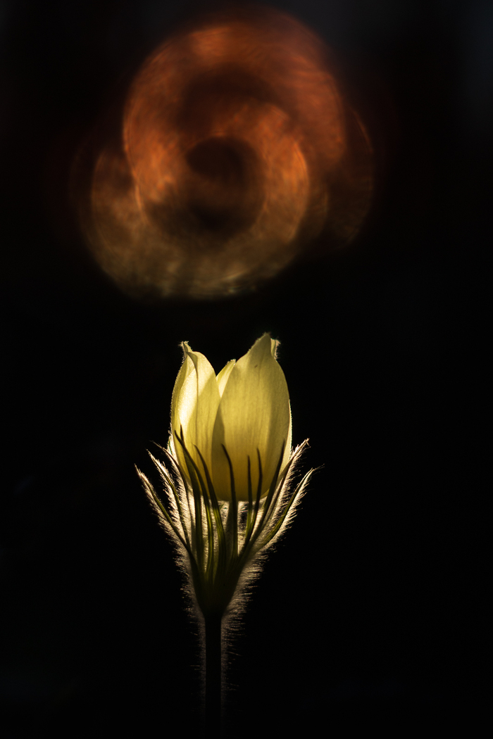 Из этой же серии