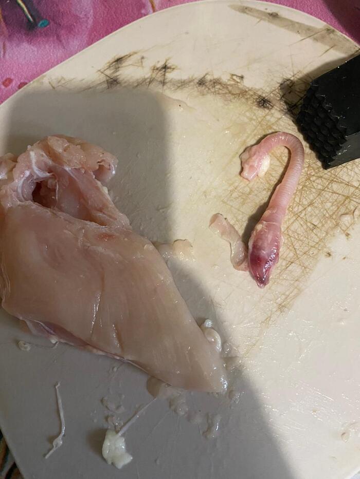 ����� �����. ���� � ����. 