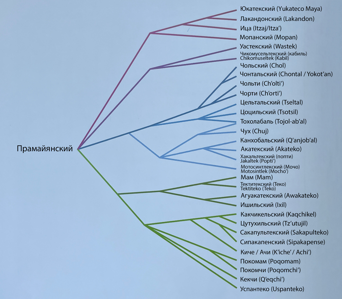 Майянская языковая семья: некоторые из этих языков уже считаются мёртвыми, а на других до сих пор разговаривают / Drazen Tomic, after Danny Law — M.Coe & S.Houston "The Maya", 10th ed., p.28